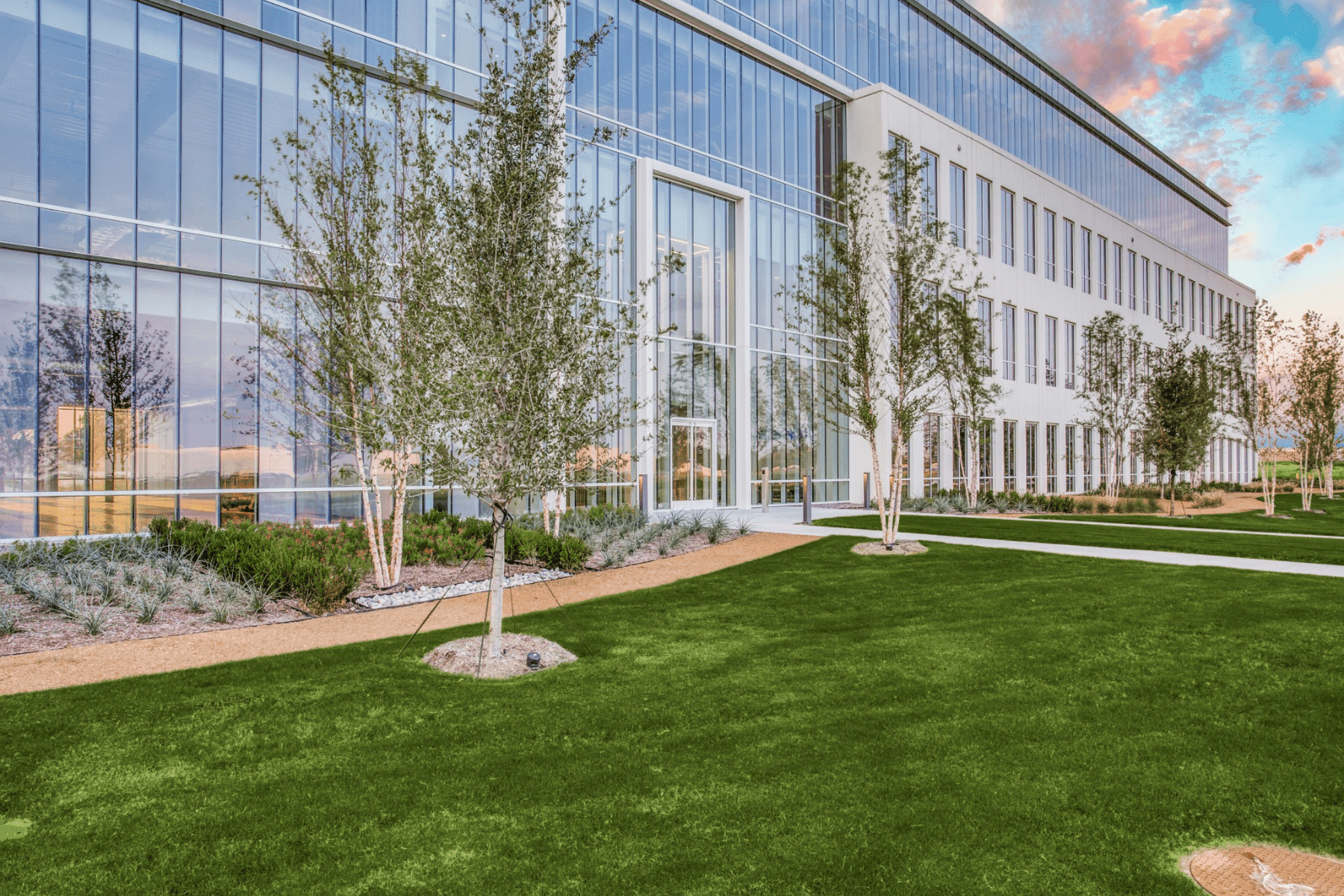 Office buildings at Cypress Waters